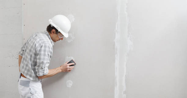 Best Environmental Consulting for Mold Prevention  in Ogdensburg, NJ