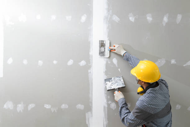 Best Mold Removal for HVAC Installations  in Ogdensburg, NJ