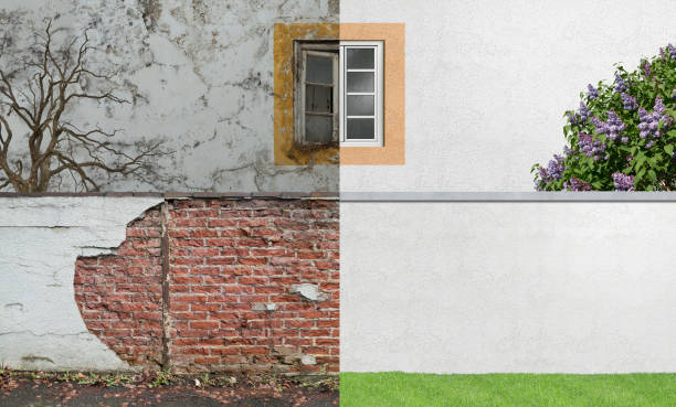 Best Residential Mold Inspection & Testing  in Ogdensburg, NJ