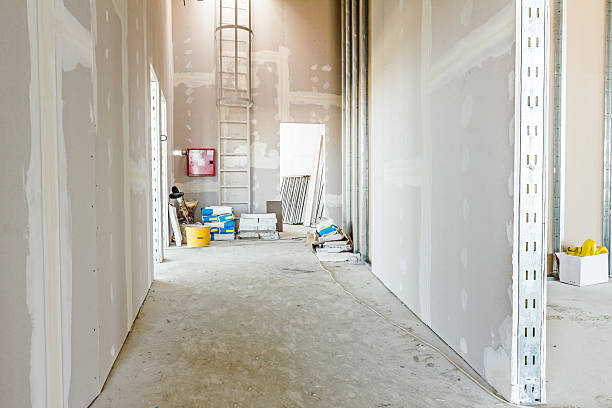Best Commercial Mold Inspection  in Ogdensburg, NJ