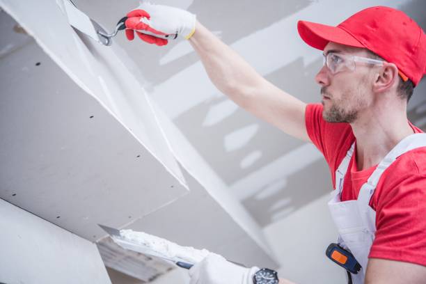 Best Post-Construction Mold Inspection  in Ogdensburg, NJ